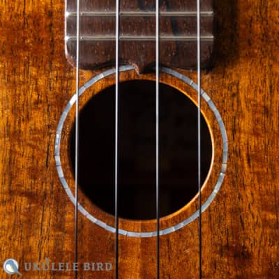 Sofla Concert Koa 2017 image 4
