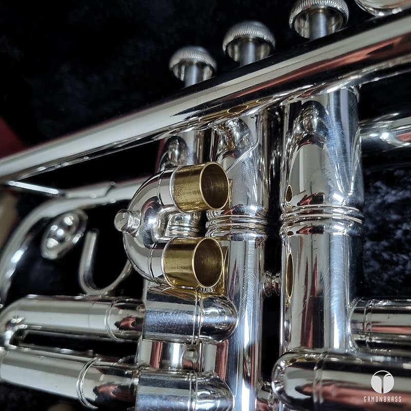 Professional Holton T101B Symphony trumpet GAMONBRASS case Professional Holton T101B Symphony trumpet GAMONBRASS case