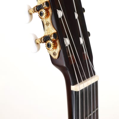 Walden SupraNatura Classical Guitar, Acoustic Nylon String 2010s image 9
