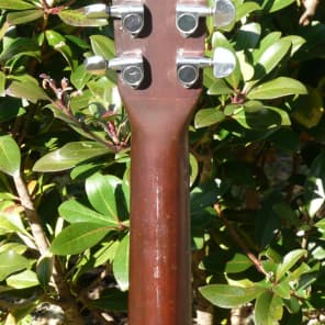 Tokai Humming Bird F100 OOO size 1970's Natural | Reverb