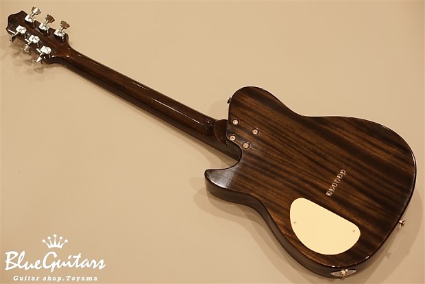 Style N Nishgaki Guitars Cirrus Semi hollow