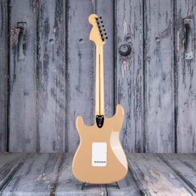 Fender Made in Japan Art Canvas Esquire Hiroshi Nagai No2
