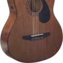 Johnson Acoustic Guitar - JG-100-WL - Walnut Finish - Acoustic Guitar