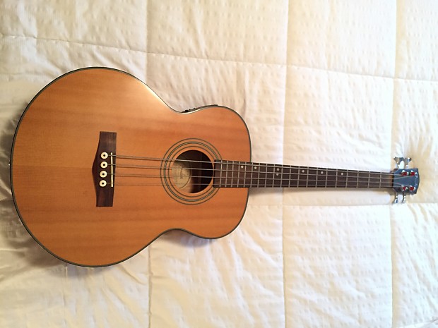 Fender shop bg 32
