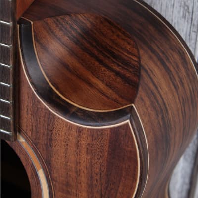 Washburn G-Mini 55 Koa Mini Grand Auditorium Acoustic Guitar with Gig Bag image 5