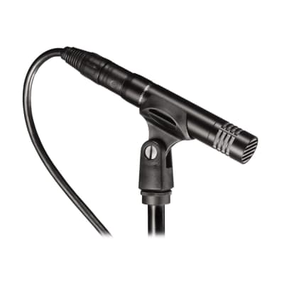 Small Cardioid Condenser Microphone