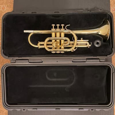 Cornet Selmer Bach CR300 2001/2002 + all accessories and extra mouth piece image 1