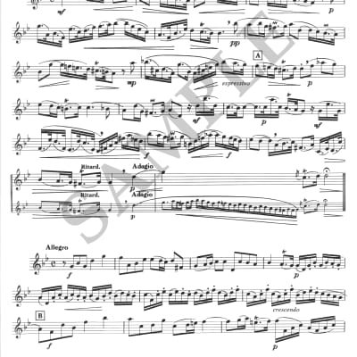 Haendel - Sonata for oboe and piano in G minor  + humor drawing print image 2