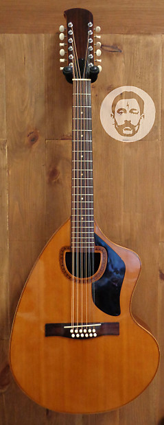 Giannini AWKS-12 12 String Acoustic guitar w/ OHSC image 1