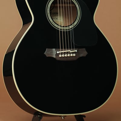 Takamine　TDP561C BL s-l400.jpg