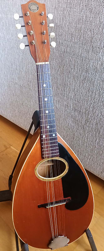 Herman Carlson Levin  mandolin from 1927. image 1