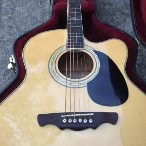 Alvarez Jumbo Acoustic-Electric Guitar w/ Case image 14