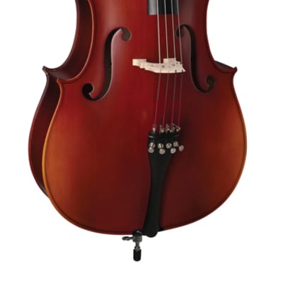 Becker 3000S Symphony Series 1/2 Size Cello - Satin Brown image 2