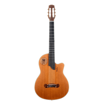ギター Gibson Montana Chet Atkins Studio CEC Gibson Chet Atkins Studio CEC (Nylon Strings)|ドルフィンギターズ