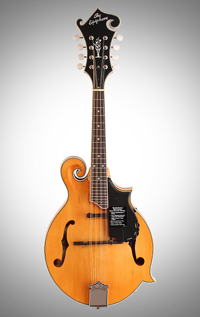 Epiphone mm50e cheap