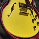 D'Angelico Deluxe DC Semi-Hollow Limited Edition Double Cutaway with Stop-Bar Tailpiece 2010s Electr