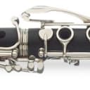 Stagg Bb Cornet, in ABS case