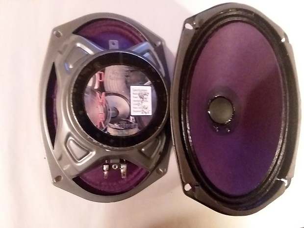 6x9 shop guitar speaker