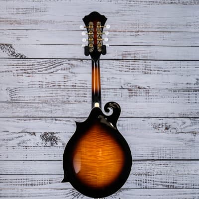 Ibanez F-Style Acoustic Mandolin | Brown Sunburst | M522SBS image 4