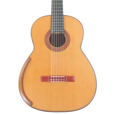 Greg Smallman 2010 - classical guitar with great power and piano-like sustain - check video! for sale