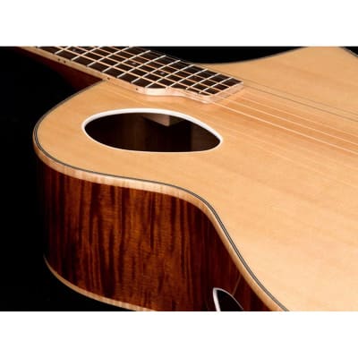 Michael Kelly Triad Port Acoustic-Electric Guitar(New) image 3
