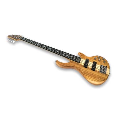 Fretless 5 String Electric Bass Guitar - Left-handed UK | Ubuy