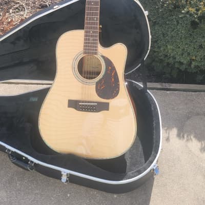 Zager 12 store string guitar