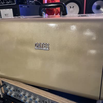 MINT Gates HOTROD MO3777 Mic Pre with tons of Mods - Fully recapped and impossibly clean with Gold Hammertone Case image 9