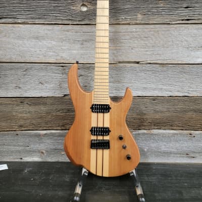 Agile Intrepid 8 String | Reverb