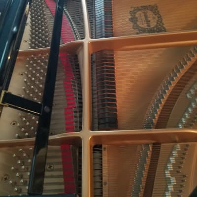 Yamaha C7 Concert Grand C7 1995 Black/Glossy image 4