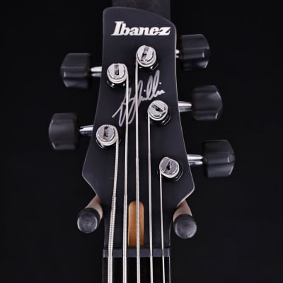Ibanez Gary Willis 25th-Anniv Signature 5-string Fretless Bass, Silver Wave Burst 9lbs 4.7oz image 9