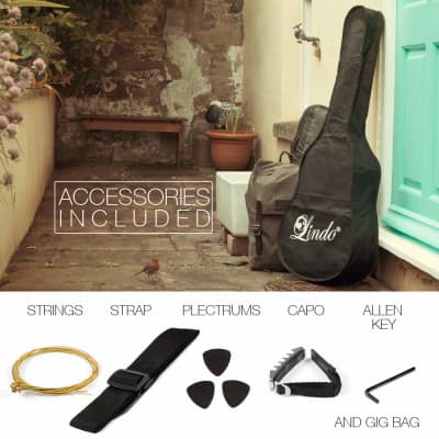 Lindo LDG-46 Widow Acoustic Guitar with A-Grade Rosewood Fingerboard and Free Accessories - Matte Black image 6