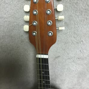 SUZUKI マンドリン　M-215 Suzuki M-215 Rosewood Bowlback Mandolin - 1970's | Reverb