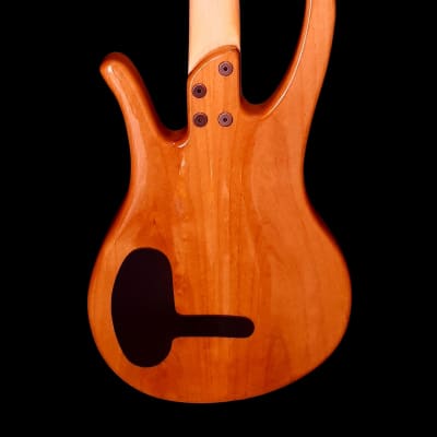 Wittman Custom Bass Long Horn 4 Spalted Maple Top 2022 - High Gloss Polyester image 6