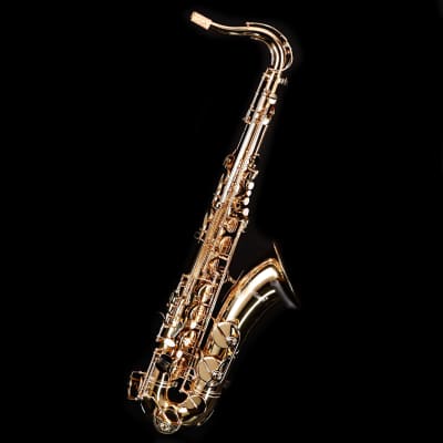 Selmer STS411 Step-Up Tenor Saxophone Outfit-Lacquer image 1