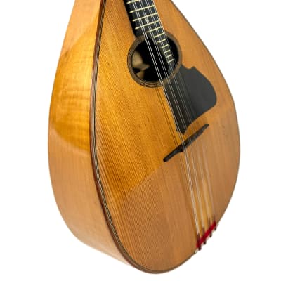 Concert Mandolin Flat-Back Emanuele Egildo N°840 from 1927 image 4