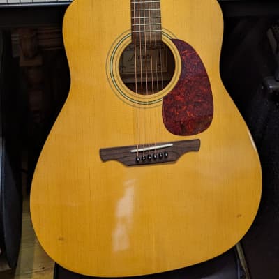 Alvarez Regent RD 10 Dreadnought Acoustic Guitar for sale
