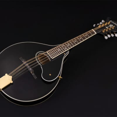 Washburn M1SDLB Bluegrass Series A-Style Mandolin. New with Full Warranty! image 10