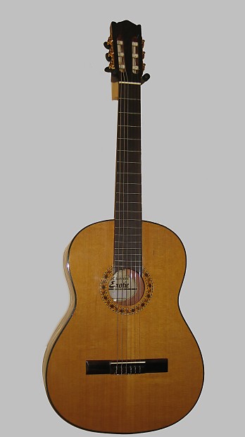 Giannini Classical Guitar All Solid Wood Made in Brazil w/Giannini Gig Bag image 1
