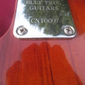 Blue Frog Made in the USA Bigsby Equipped Single Cutaway Nitro Guitar image 19