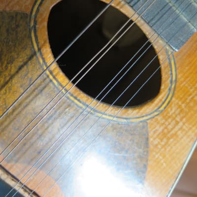 vintage antique 1910 Carl Fischer mandolin  LYON + HEALEY w/ orig case americana folk music instruments image 24