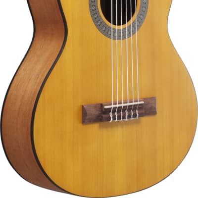Ibanez GA2 3/4 Size Nylon String Guitar Open Pore Amber image 6