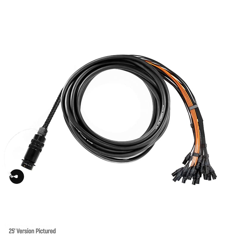 PERSEUS MULTIPIN Snake (8 to 12 Channels) 4Dec / WMP Reverb