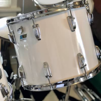 Ludwig White Cortex 14