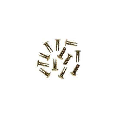 Genuine Marshall Brass Rivets - 12 Pieces  from  M-PACK-00017