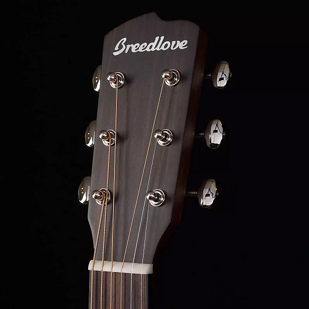 Breedlove Pursuit Dreadnought Acoustic Guitar image 5