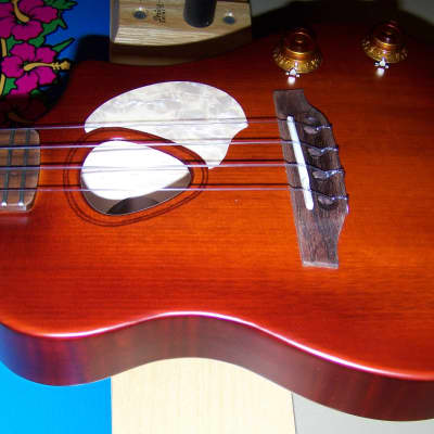 Seagull Uke Nylon SG  2019 Burst image 6