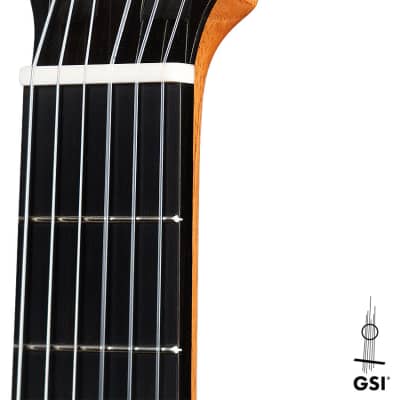 Carlos Juan Busquiel 2021 Classical Guitar Cedar/African Rosewood image 11