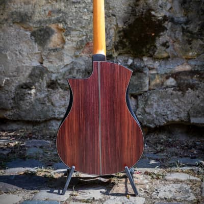 Salz Guitars PS 2023 - Swiss moon spruce & Indian rosewood image 2