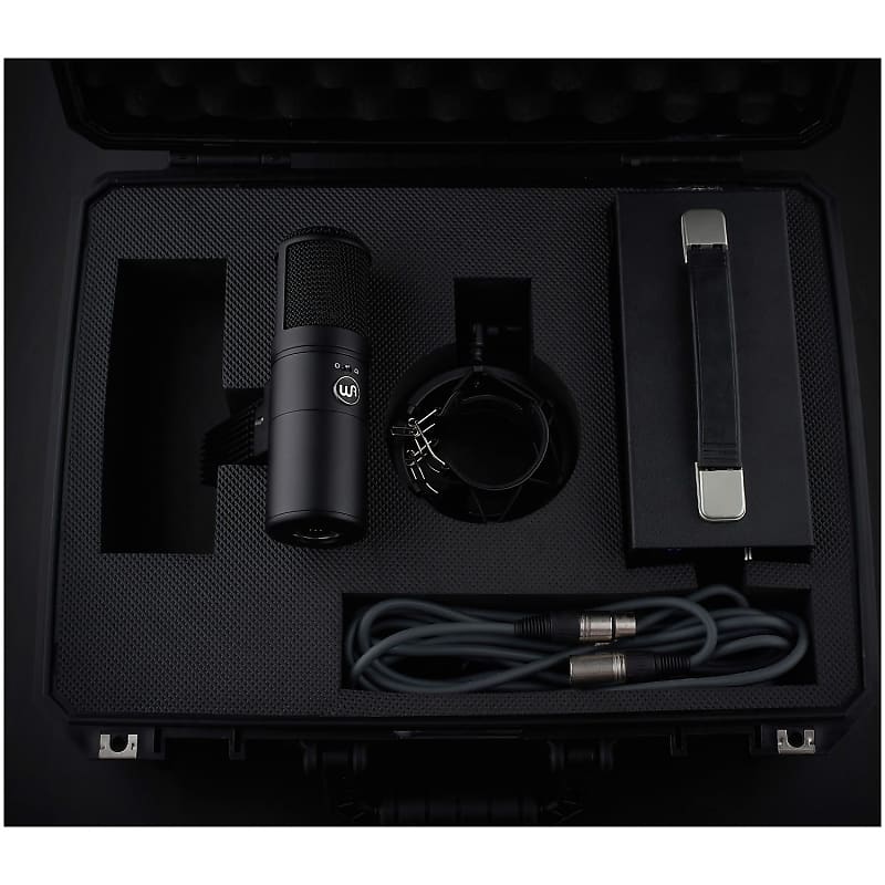 Immagine Warm Audio WA-8000 Large Diaphragm Tube Condenser Microphone - 6